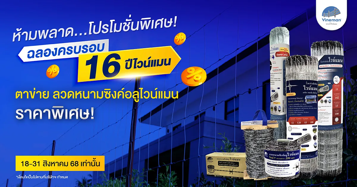 Landing Page โปรโมชั่น 16 ปี