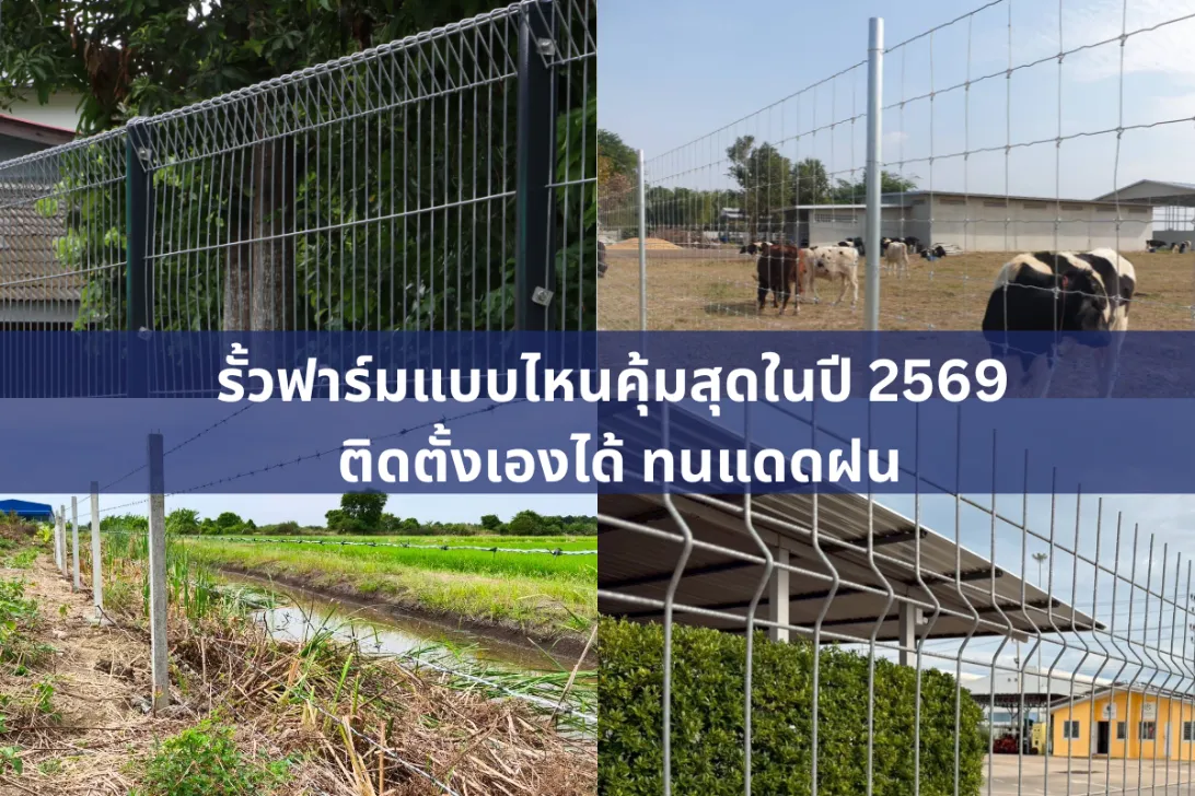 ภาพรั้วฟาร์มล้อมรอบบ้านฟาร์ม พร้อมวัวและฟางในพื้นที่เขียวขจี เหมาะกับบทความเกี่ยวกับรั้วฟาร์ม