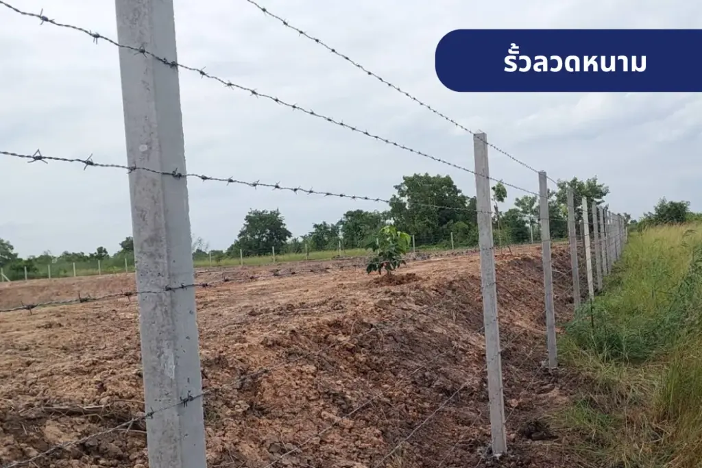 รั้วลวดหนามแบบมาตรฐาน ติดตั้งพร้อมเสาปูน ใช้ล้อมพื้นที่ไร่นา ป้องกันสัตว์เข้าออก