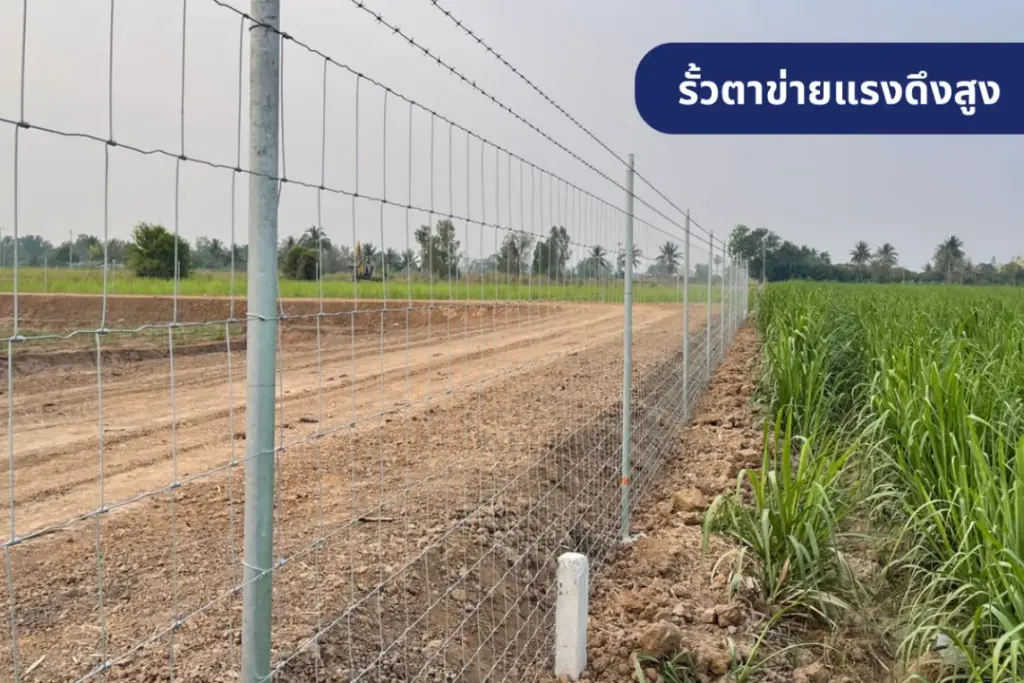 รั้วตาข่ายแรงดึงสูง ใช้ล้อมพื้นที่เกษตร ถนน หรือพื้นที่เลี้ยงสัตว์ ทนทานและปลอดภัย