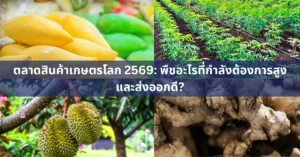 ภาพรวมของพืชเศรษฐกิจไทย ได้แก่ ทุเรียน มะม่วง มันสำปะหลัง และสมุนไพร ที่กำลังเป็นที่ต้องการในตลาดโลกปี 2569