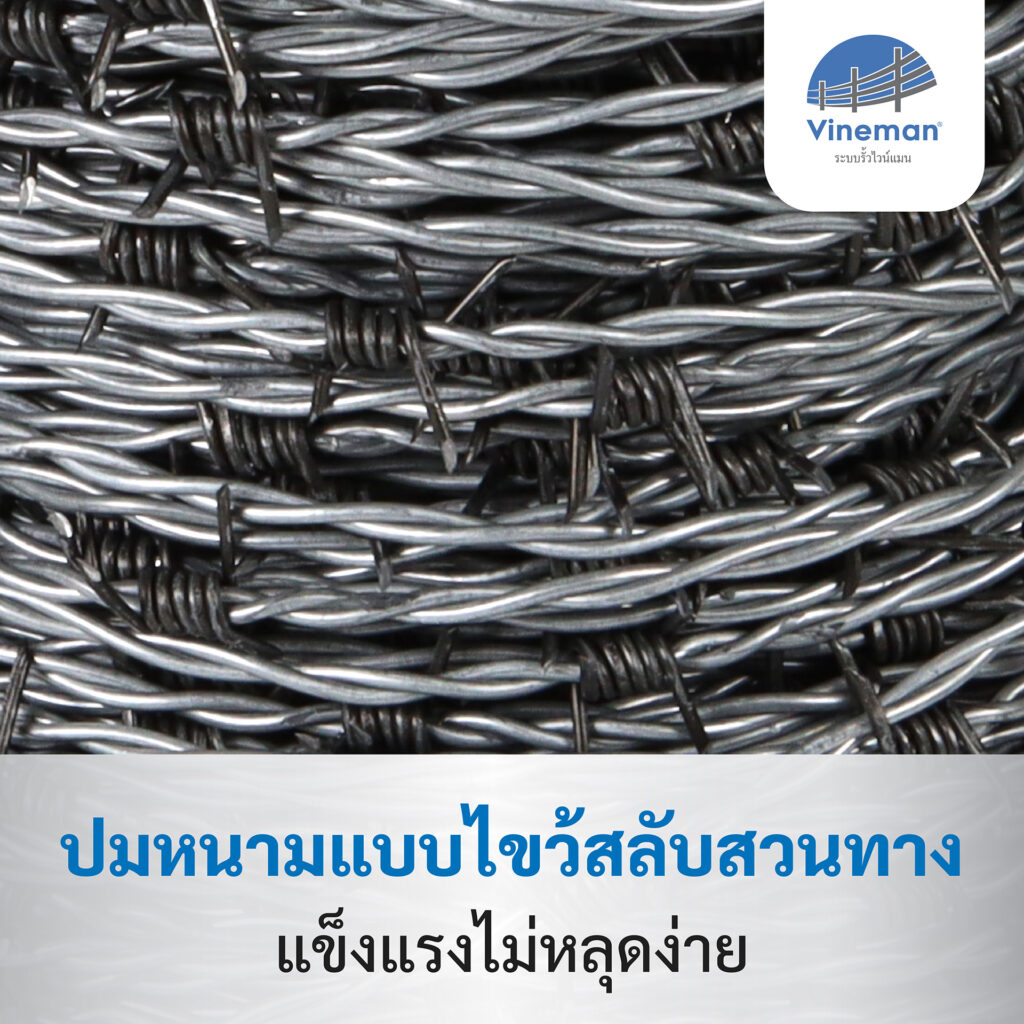 ลวดหนามซิงค์อลูไวน์แมน ปมหนามแบบไขว้สลับสวนทาง แข็งแรงไม่หลุดง่าย