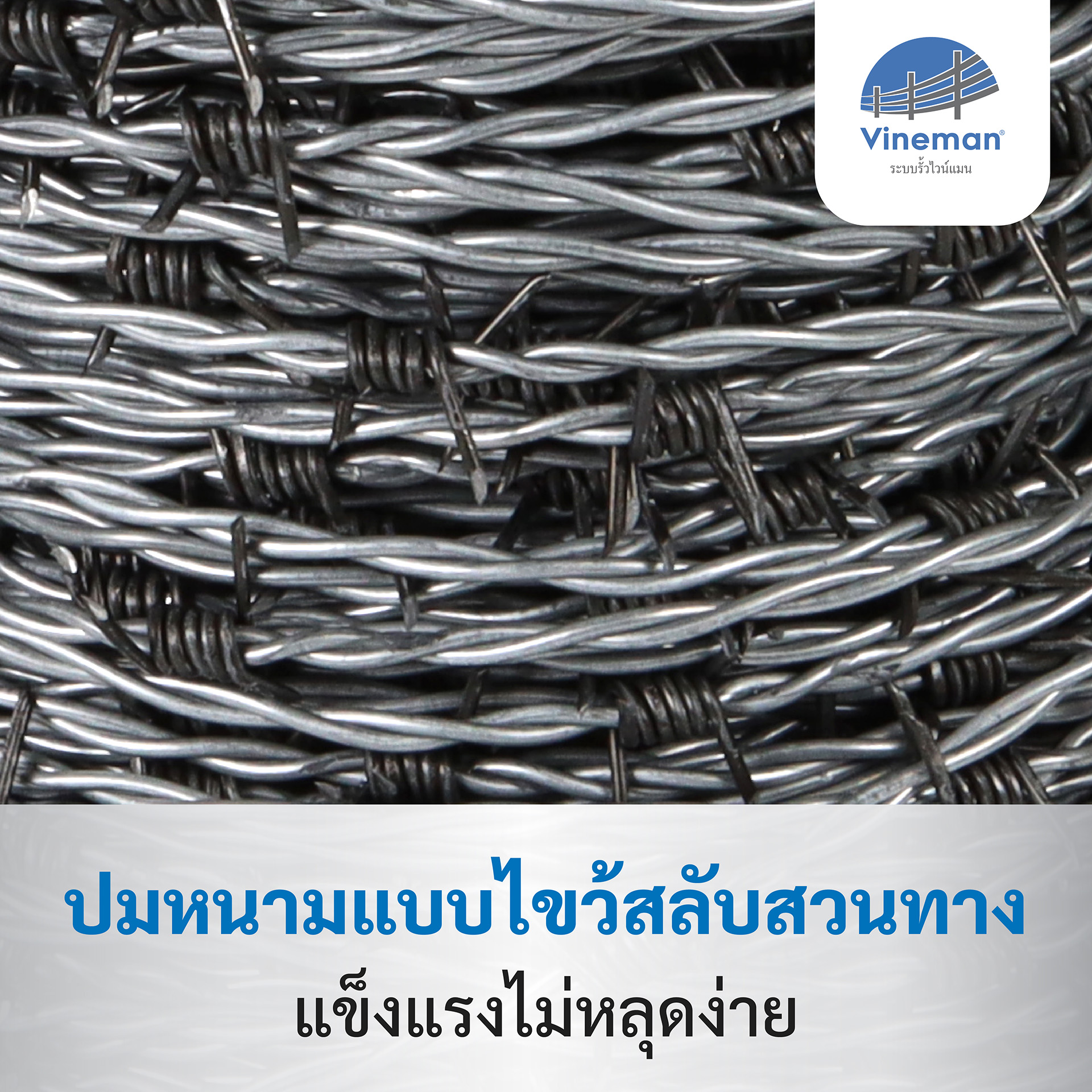 ลวดหนามซิงค์อลูไวน์แมน ปมหนามแบบไขว้สลับสวนทาง แข็งแรงไม่หลุดง่าย