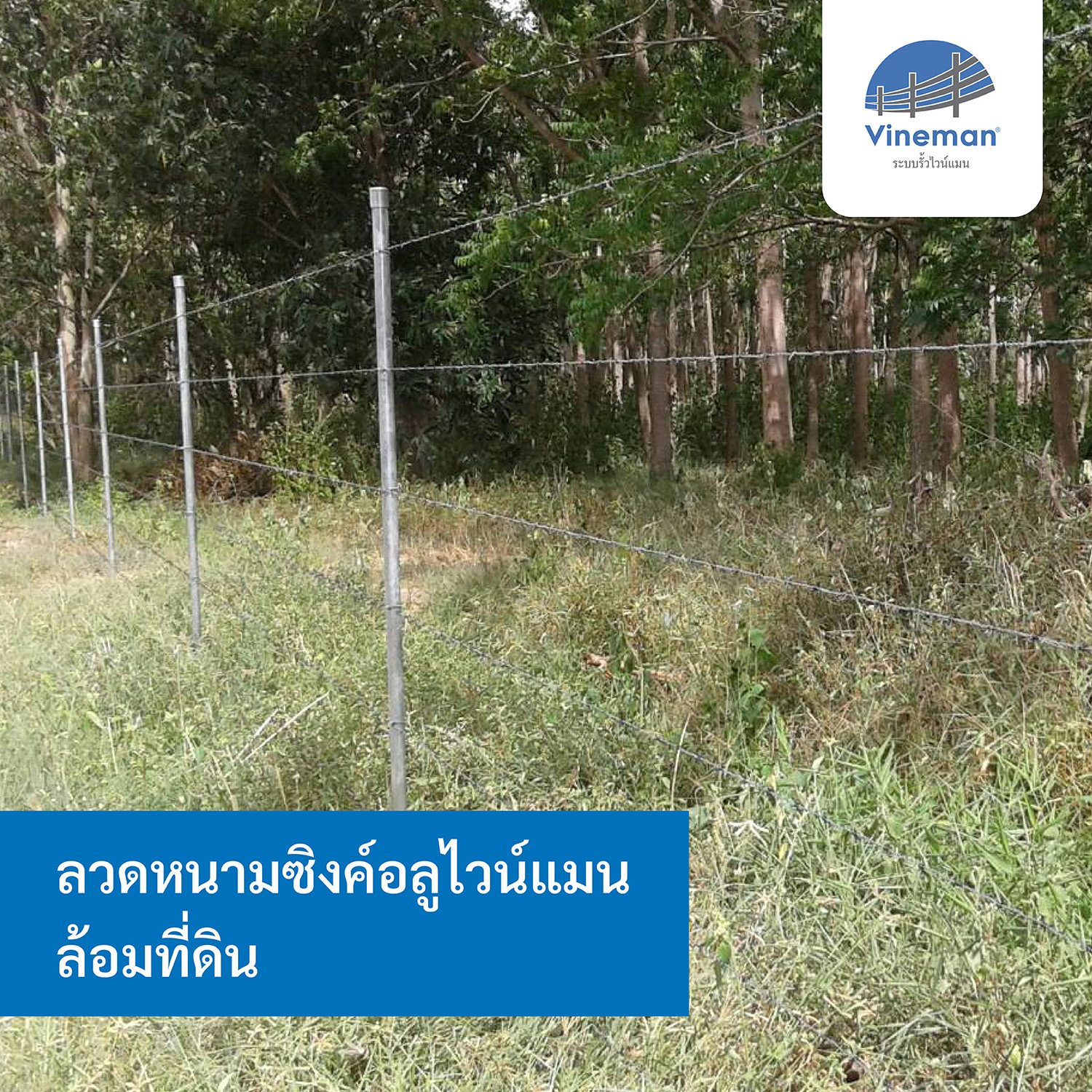 ลวดหนามซิงค์อลูไวน์แมน ล้อมที่ดิน