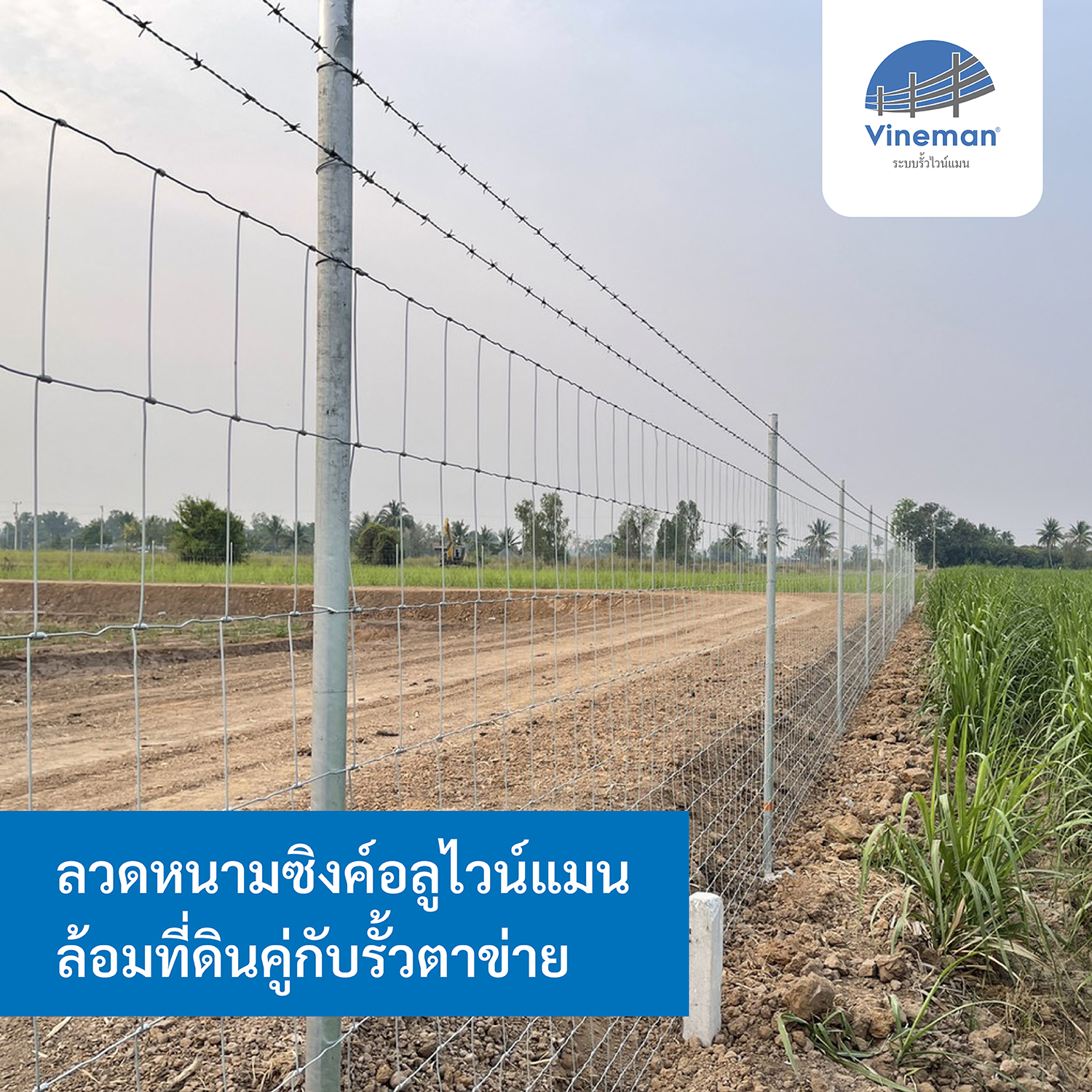 ลวดหนามซิงค์อลูไวน์แมน ล้อมที่ดินคู่กับรั้วตาข่าย