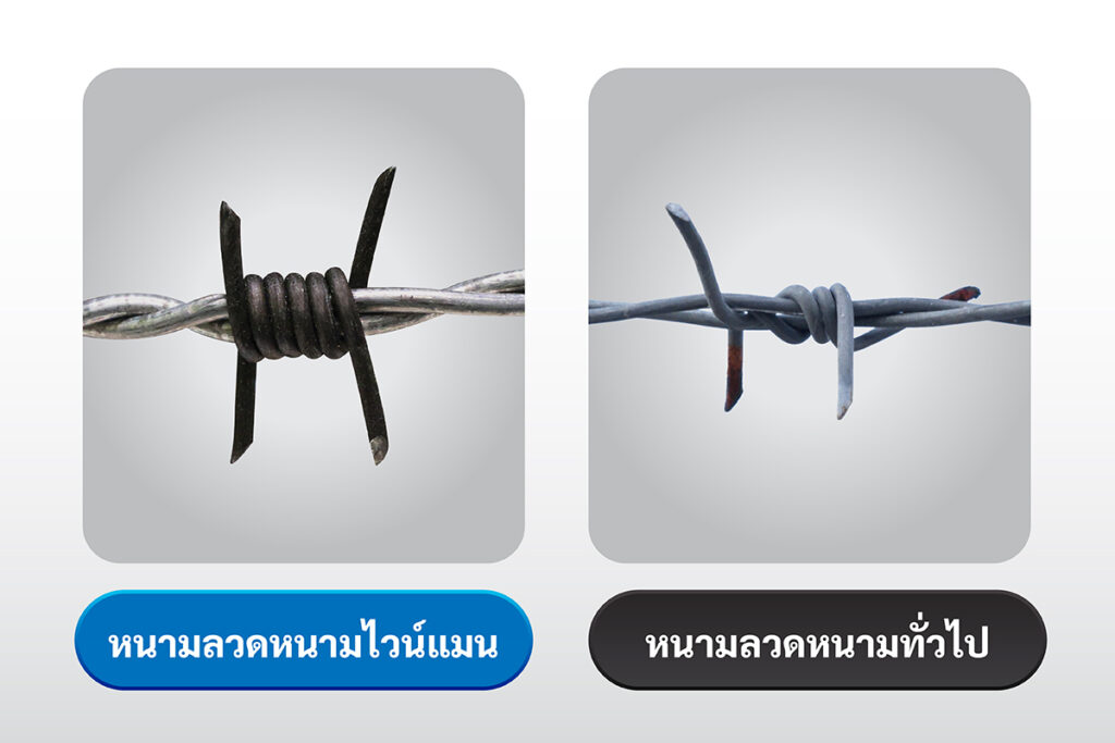เปรียบเทียบลวดหนามไวน์แมน กับลวดหนามทั่วไป