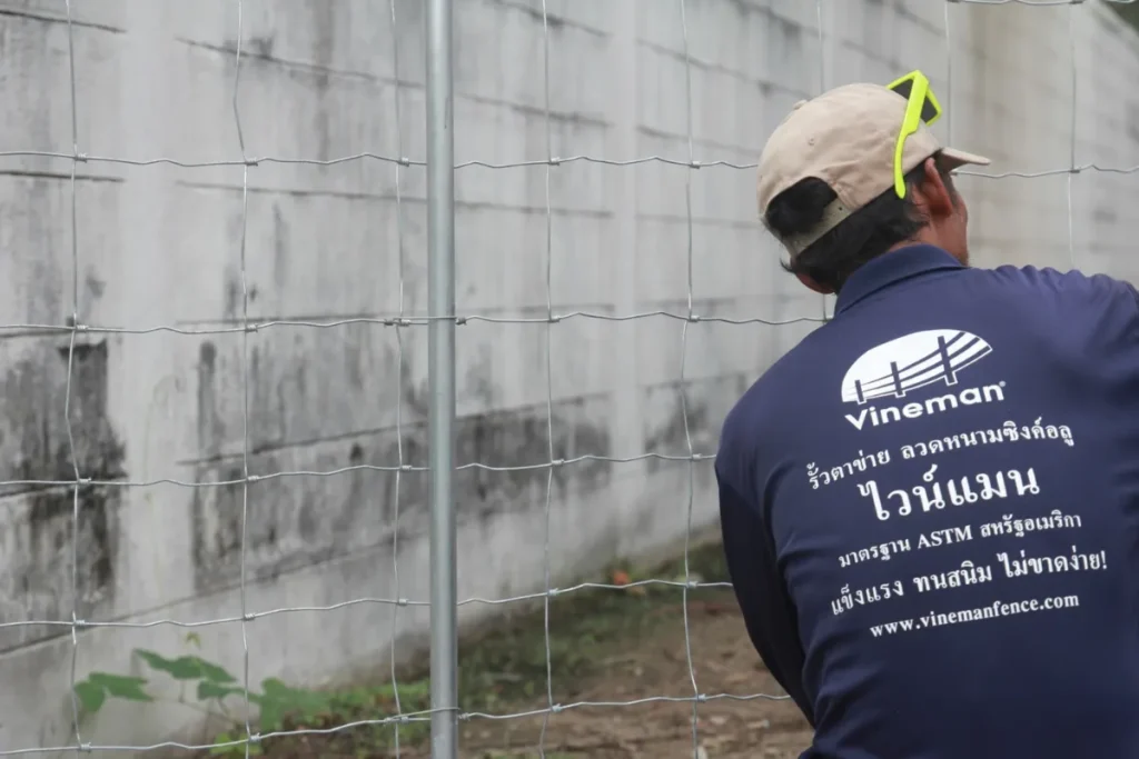 ช่างกำลังติดตั้งรั้วตาข่ายเหล็กไวน์แมนบริเวณกำแพงบ้าน ใช้งานจริง แข็งแรง ทนทาน