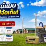 หน้าแรก Desktop- Banner-17ปี ไวน์แมน--โปร-18-08-69