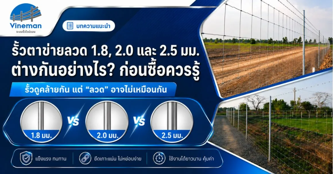 รั้วตาข่ายลวด 1.8, 2.0 และ 2.5 มม. ต่างกันอย่างไร? ก่อนซื้อควรรู้